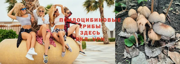 меф Арсеньев