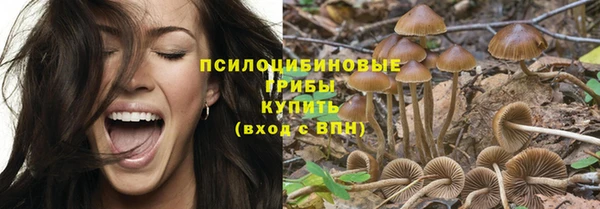 метадон Армянск