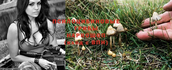 марки nbome Аркадак