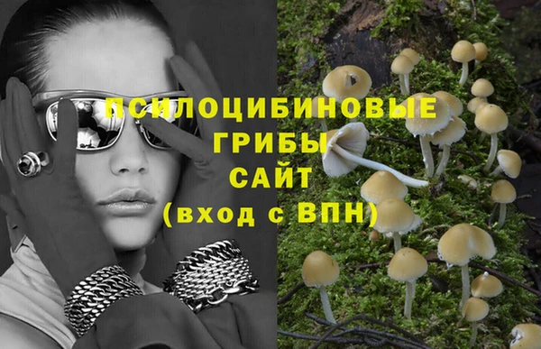 марки nbome Аркадак