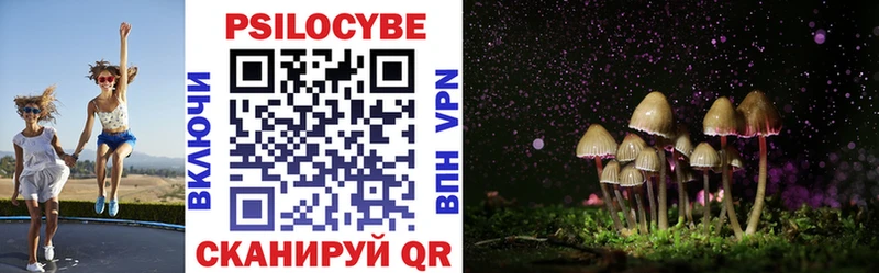 Псилоцибиновые грибы MAGIC MUSHROOMS  наркотики  Барыш 